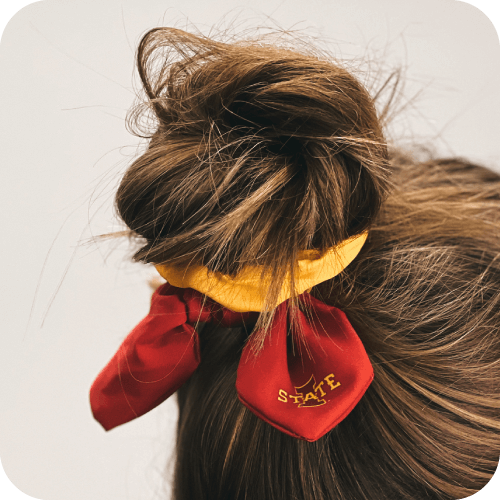 ZooZatz Accessories